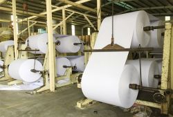 Automatic paper cutting factory